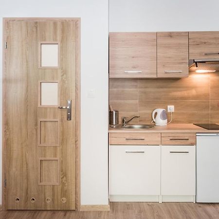 Zelazna Apartment Wawelofts Krakau Buitenkant foto