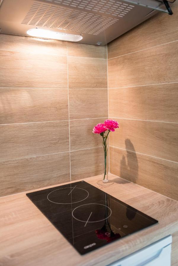 Zelazna Apartment Wawelofts Krakau Buitenkant foto